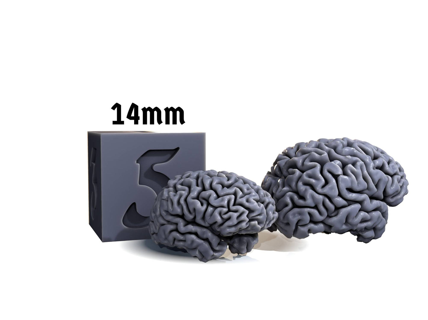 Brain token