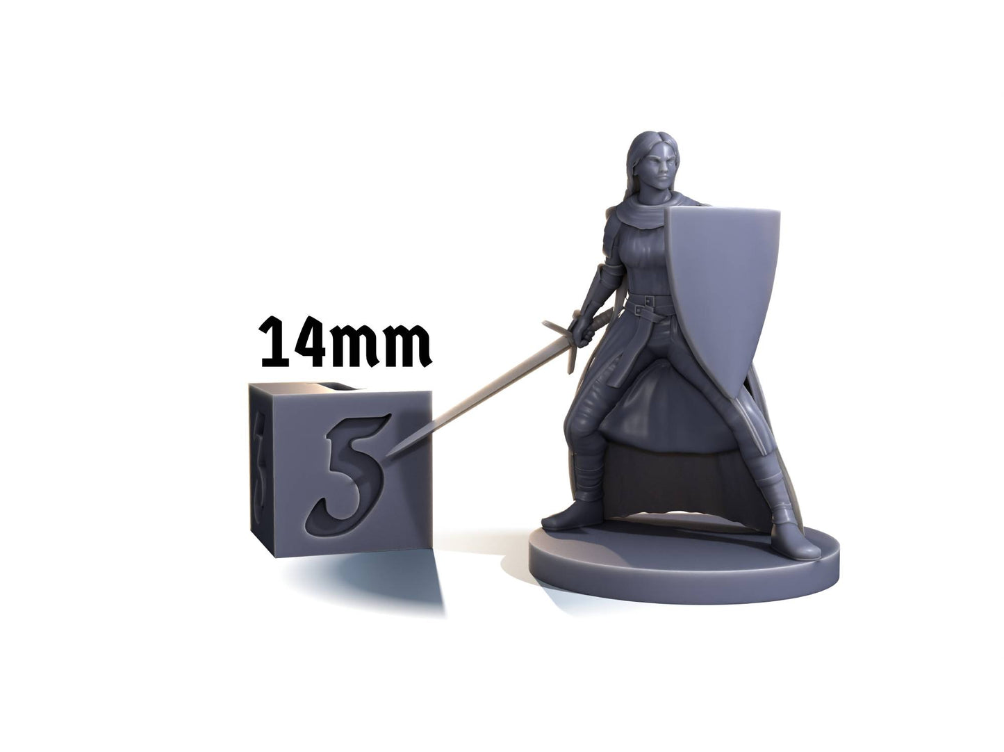 Human war cleric (sword & shield)