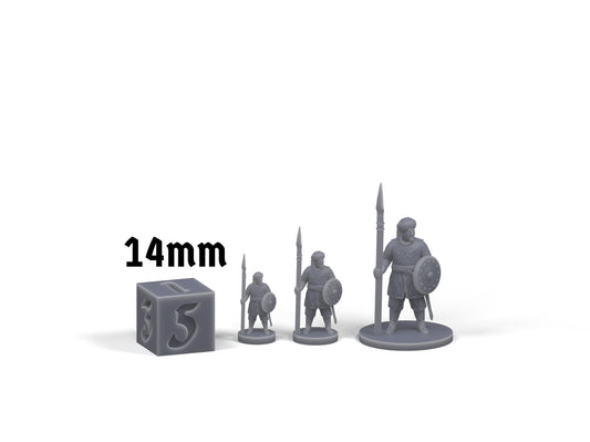 Muslim spearman size comparison XE287