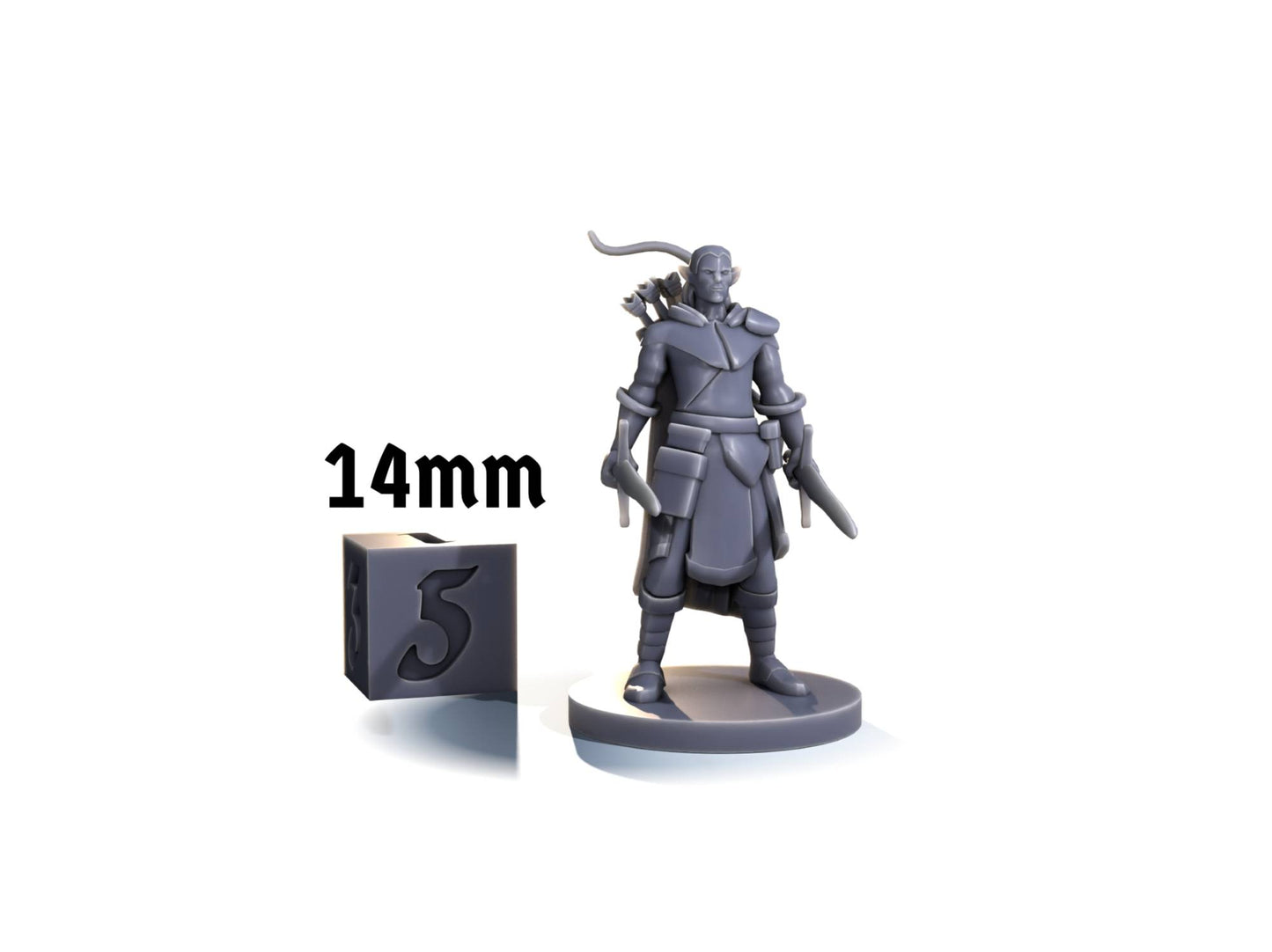 Elf ranger (dual wield and bow)