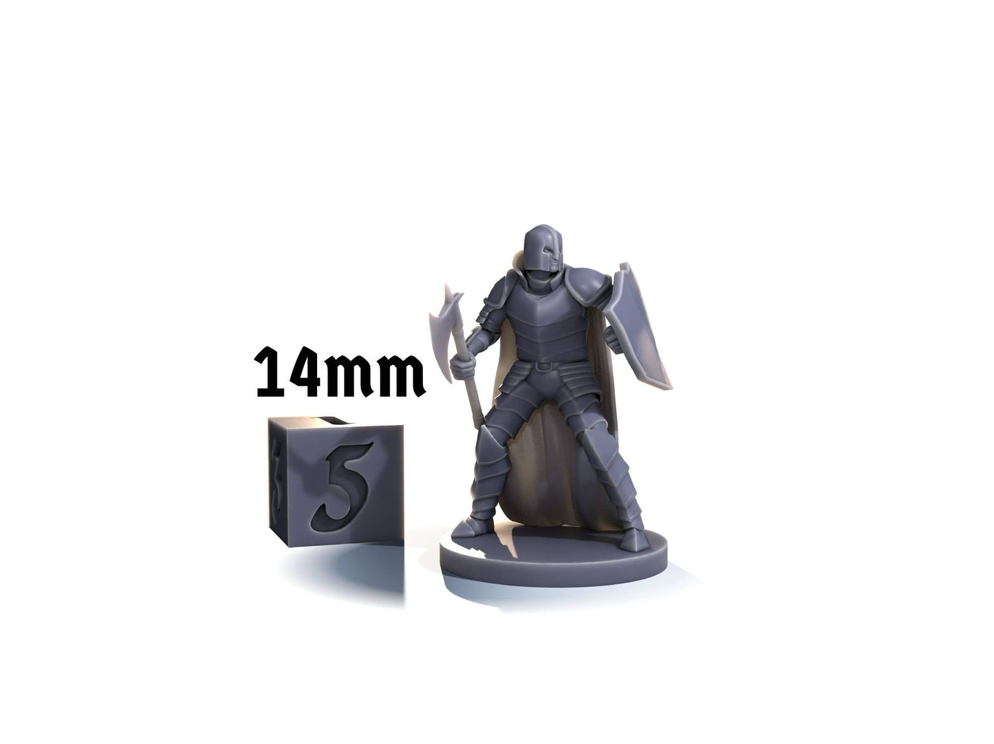 Human fighter (axe & shield)