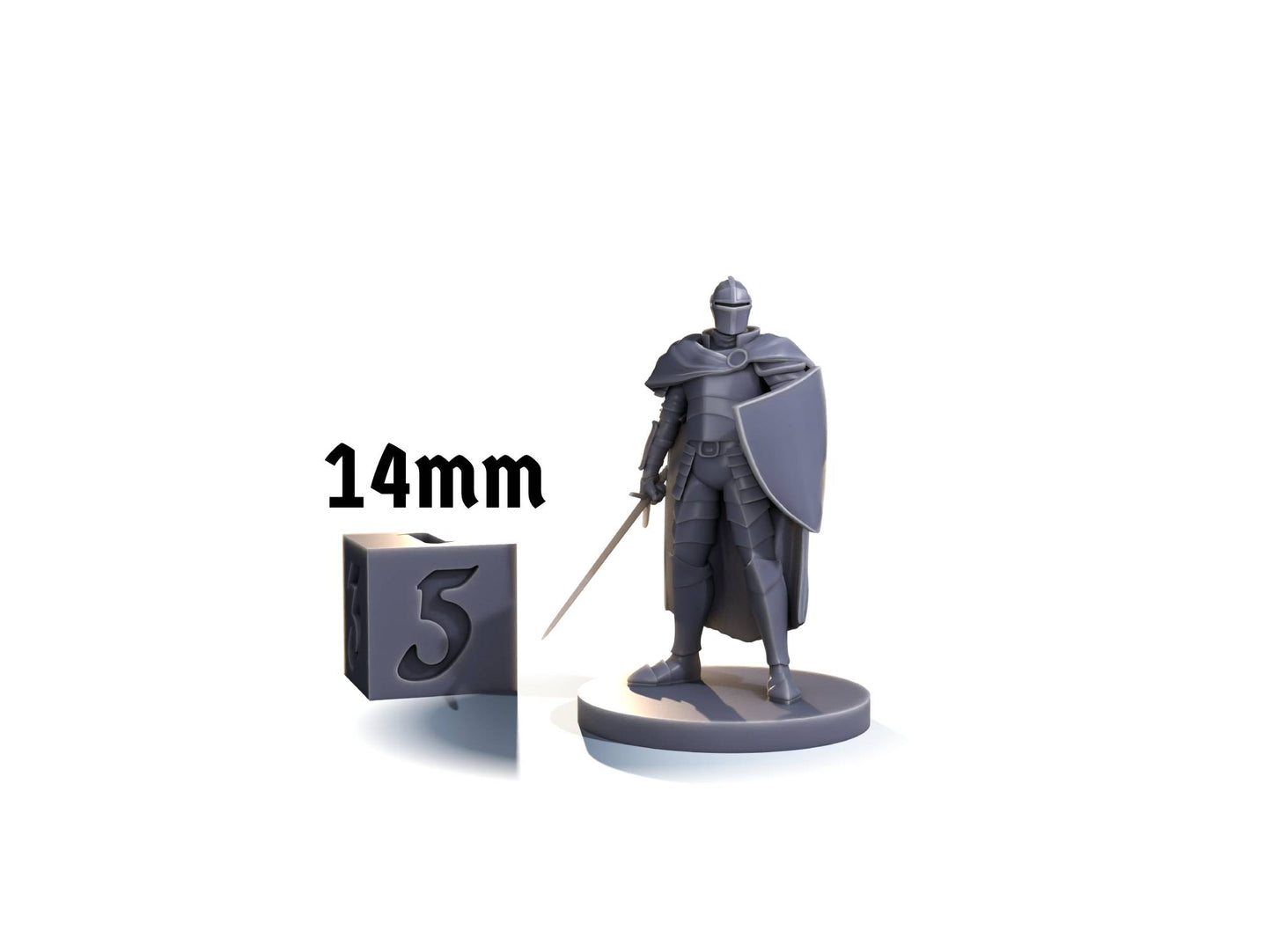 Human fighter (sword & shield)