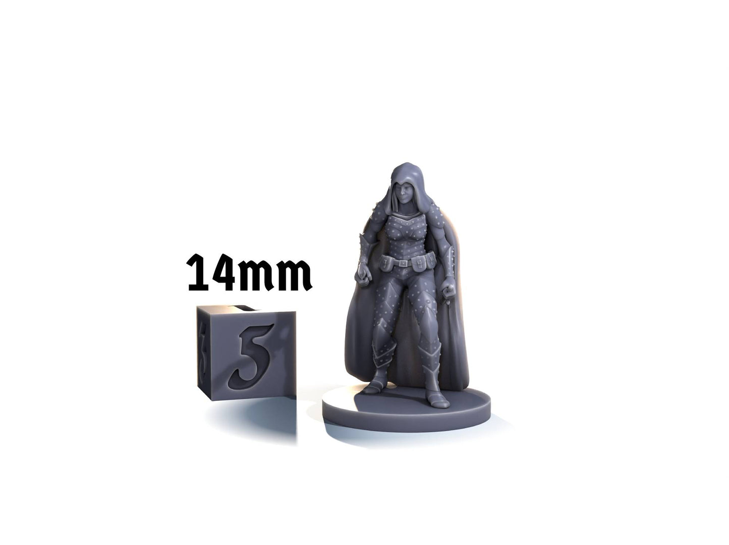 Human rogue (dual wield)