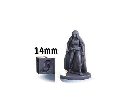 Human rogue (dual wield)