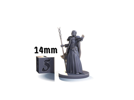 Human wizard (staff)