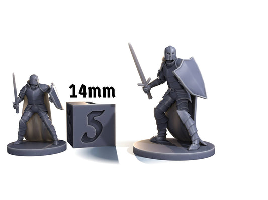 Footman (sword & shield)