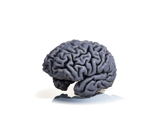 Brain token