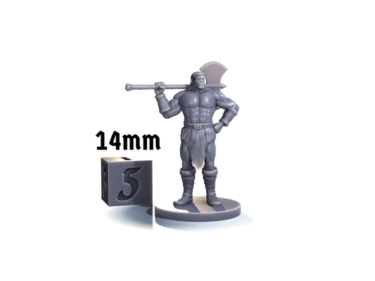 Half-orc Barbarian (greataxe)