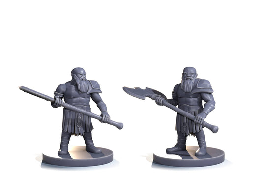 Dwarf barbarian (two-handed axe)