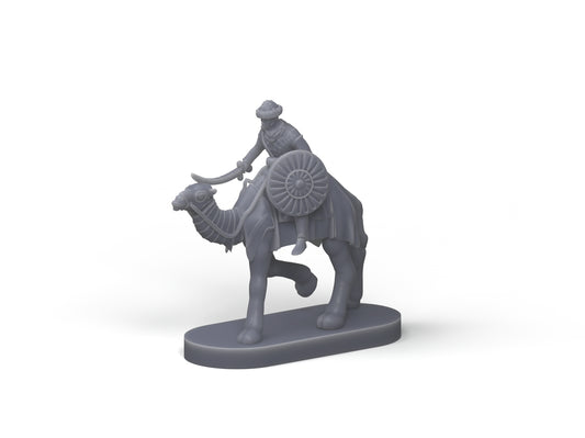 Camelry warrior