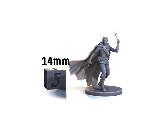 Human rogue (throwing knife & sword)